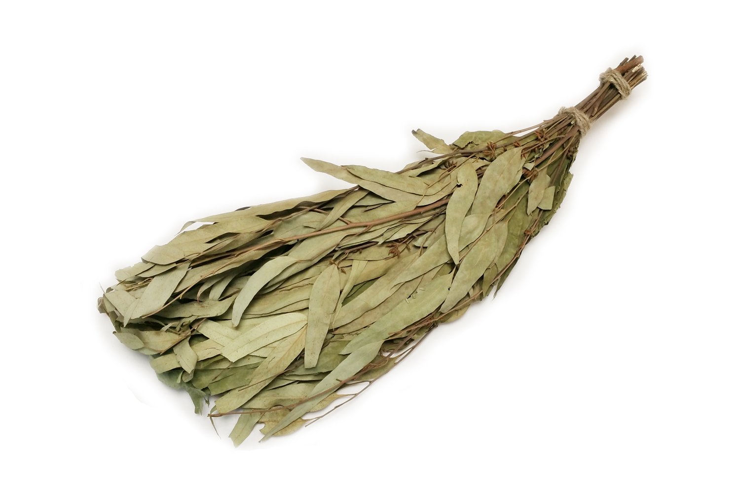 Eucalyptus Long Leaf Sauna whisk made from dried eucalyptus leaves.